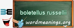 WordMeaning blackboard for boletellus russellii
